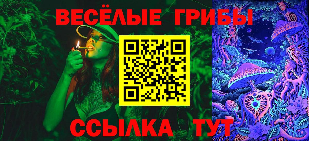 Барабинск  Псилоцибиновые грибы Psilocybe  Вход с VPN  Галлюциногенные грибы прущие грибы 