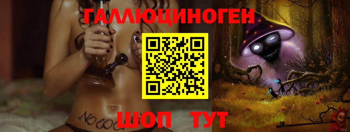 Псилоцибиновые грибы Cubensis Барабинск